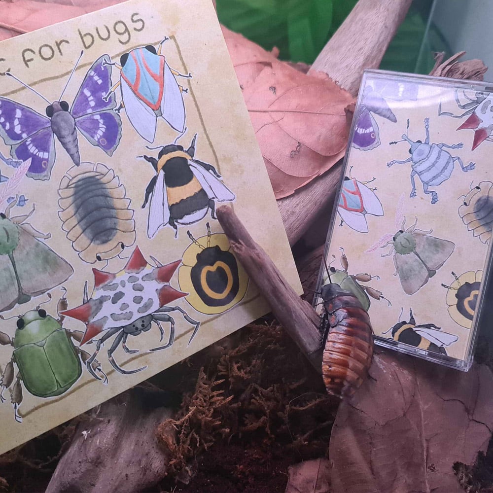 Image of Music for Bugs - camiidae CD