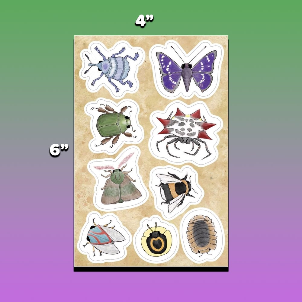 Image of Music for Bugs - camiidae Tape