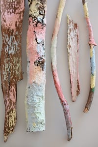 Image 15 of WILD LAB