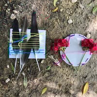 Image 14 of WILD LAB