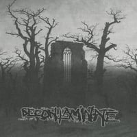 Decontaminate Discography CD and Cassette 