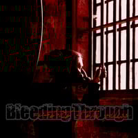 Bleeding Through "Portrait of the Goddess" CD 