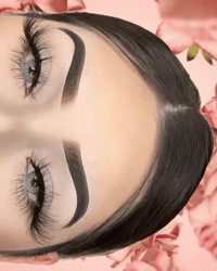 Image 2 of Aloe Vera 