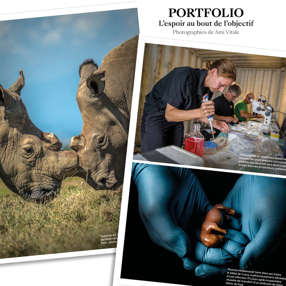 Image of Retour vers le sauvage - Tome 1