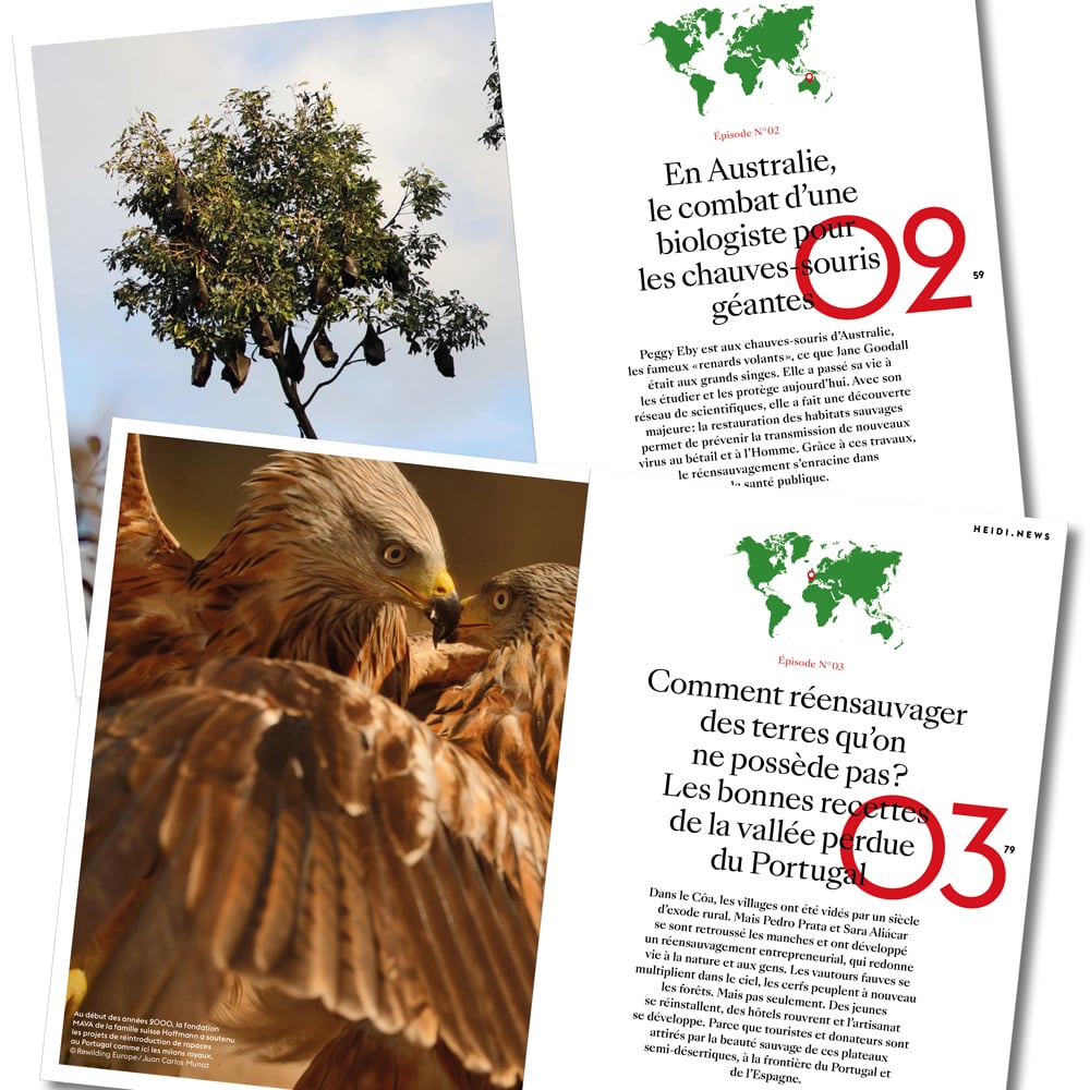 Image of Retour vers le sauvage - Tome 1