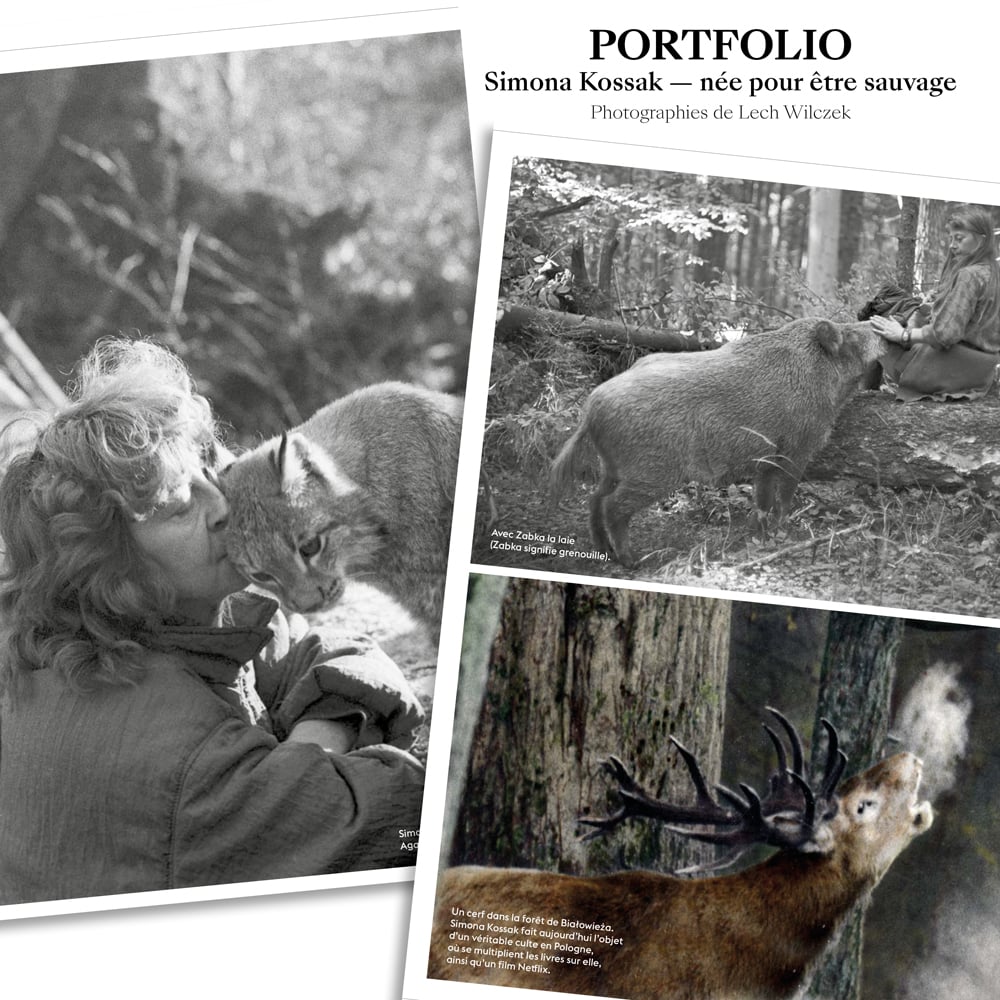 Image of Retour vers le sauvage - Tome 1