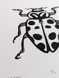 Image 3 of Ladybird 