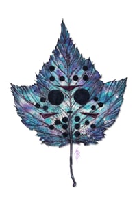 Image 1 of Jason Leaf