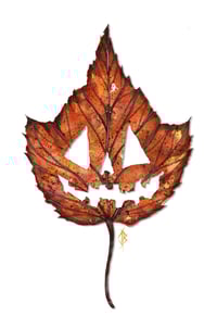 Image 1 of Halloween Leaf