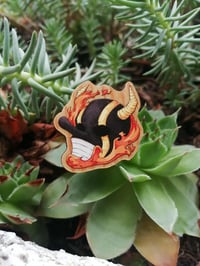 Image 1 of Petit pin's bois SolarHeat