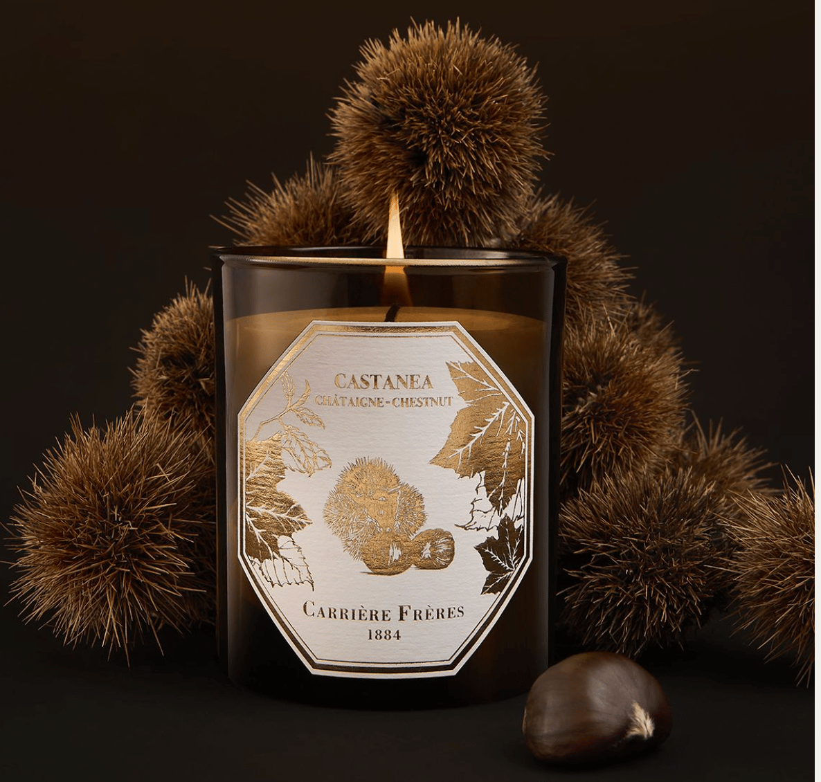 Image of Carrière Frères NEW Chestnut Candle (and Wax Botanical Palet)