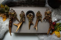 Image 1 of Antler Crystal Necklaces