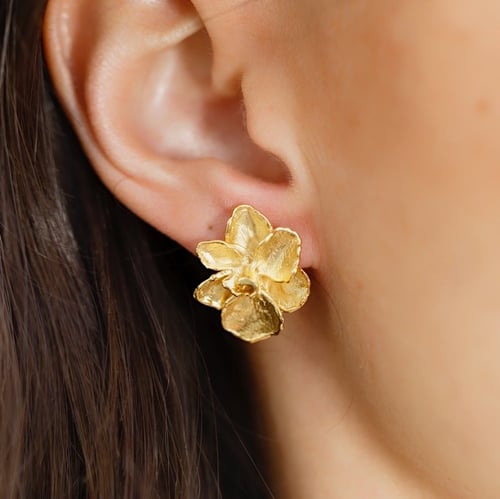 Image of Boucles d'oreilles Aloès