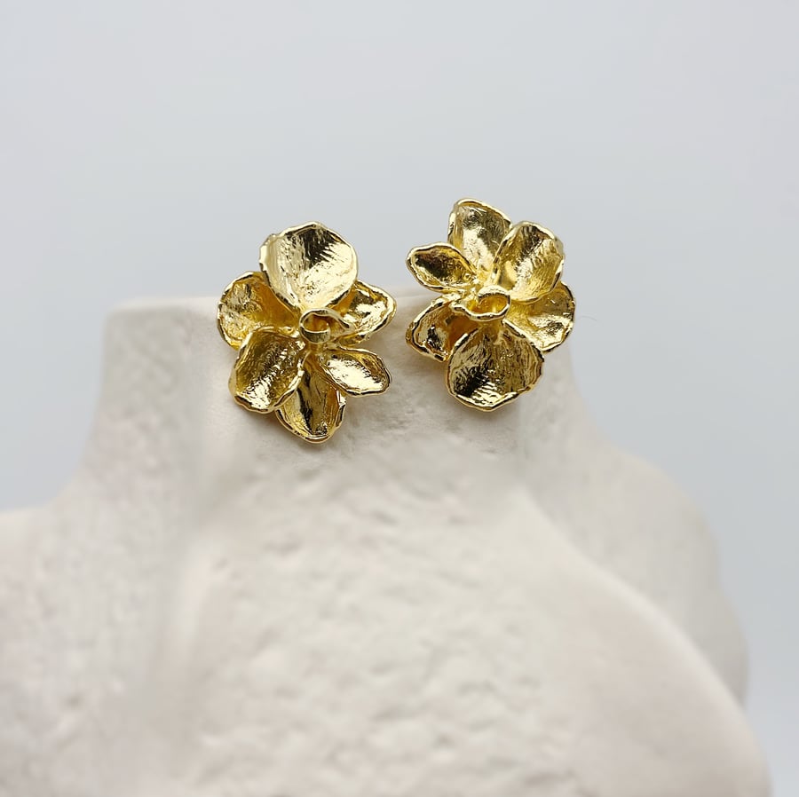 Image of Boucles d'oreilles Aloès