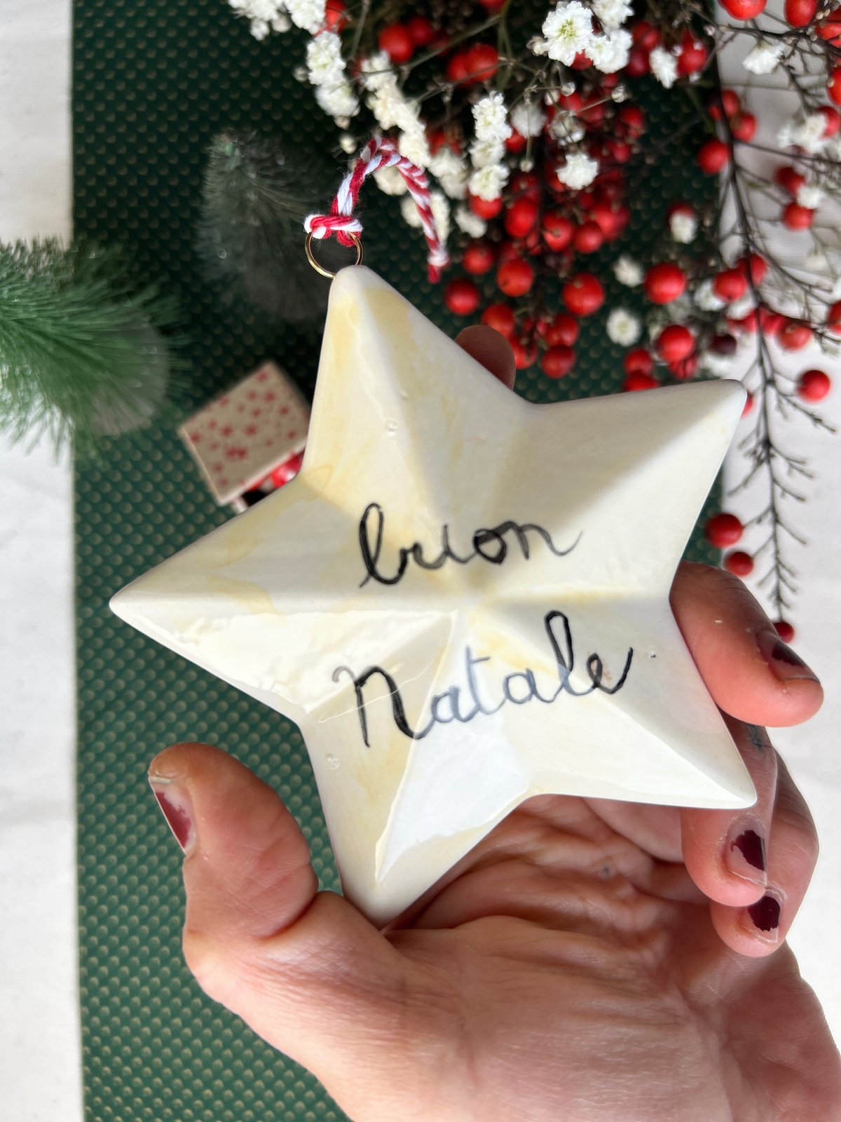 STELLA DI NATALE - Decorazione #3 - Agrifoglio