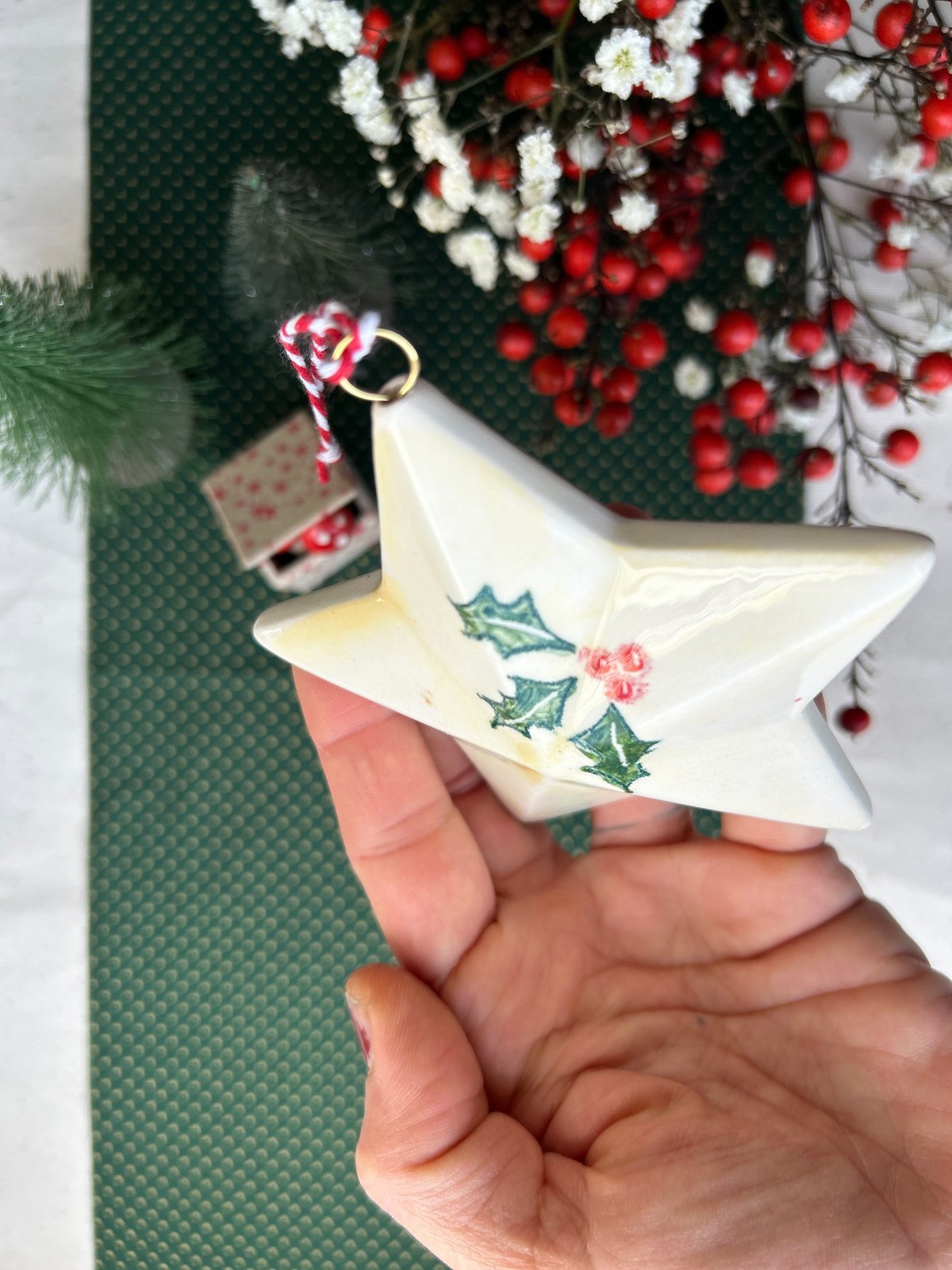 STELLA DI NATALE - Decorazione #3 - Agrifoglio