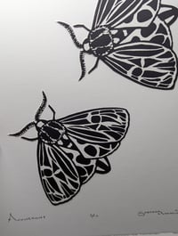 Image 2 of Moonlight 