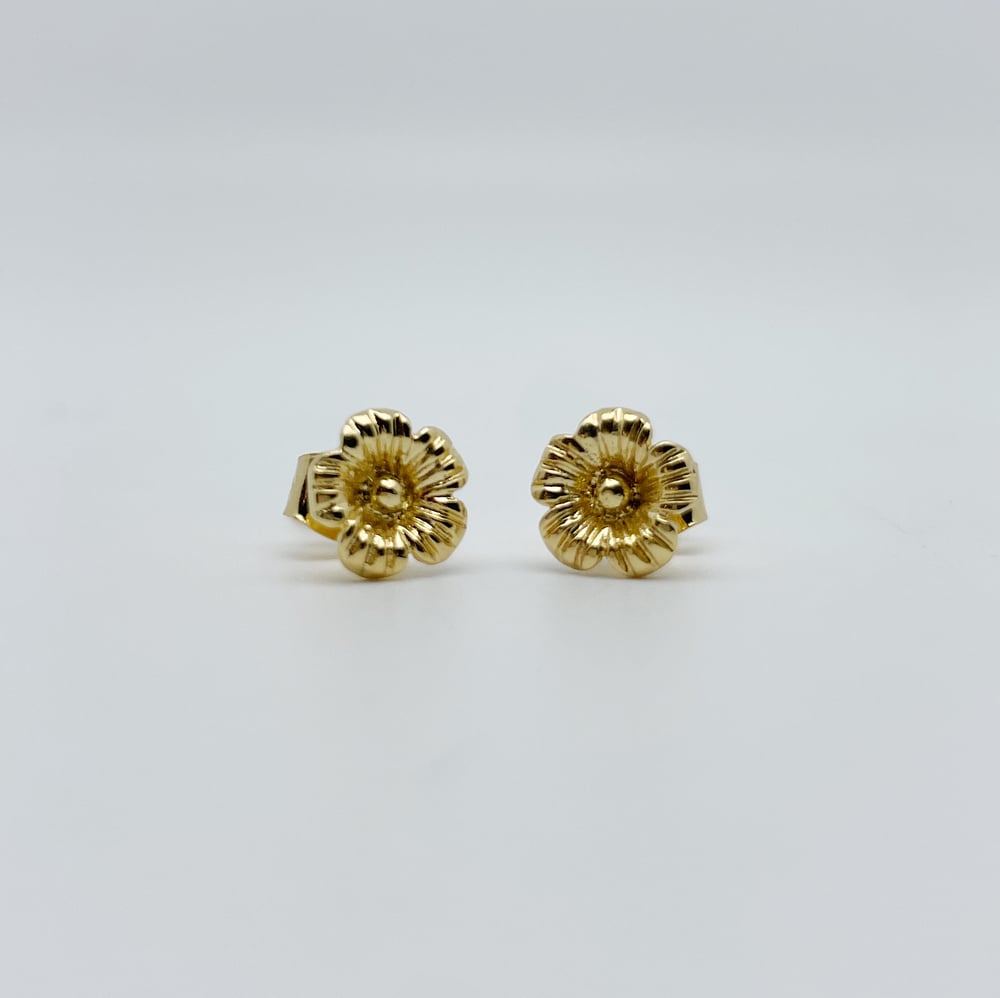 Image of Boucles d'oreilles Zoé