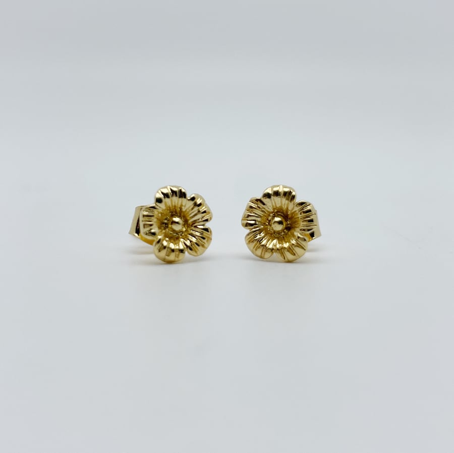 Image of Boucles d'oreilles Zoé