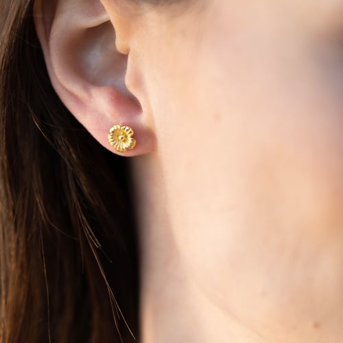 Image of Boucles d'oreilles Zoé