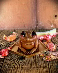 Image 2 of Rana de chocolate