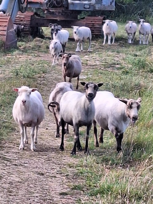 Image of Fisherman's Rib Beanie