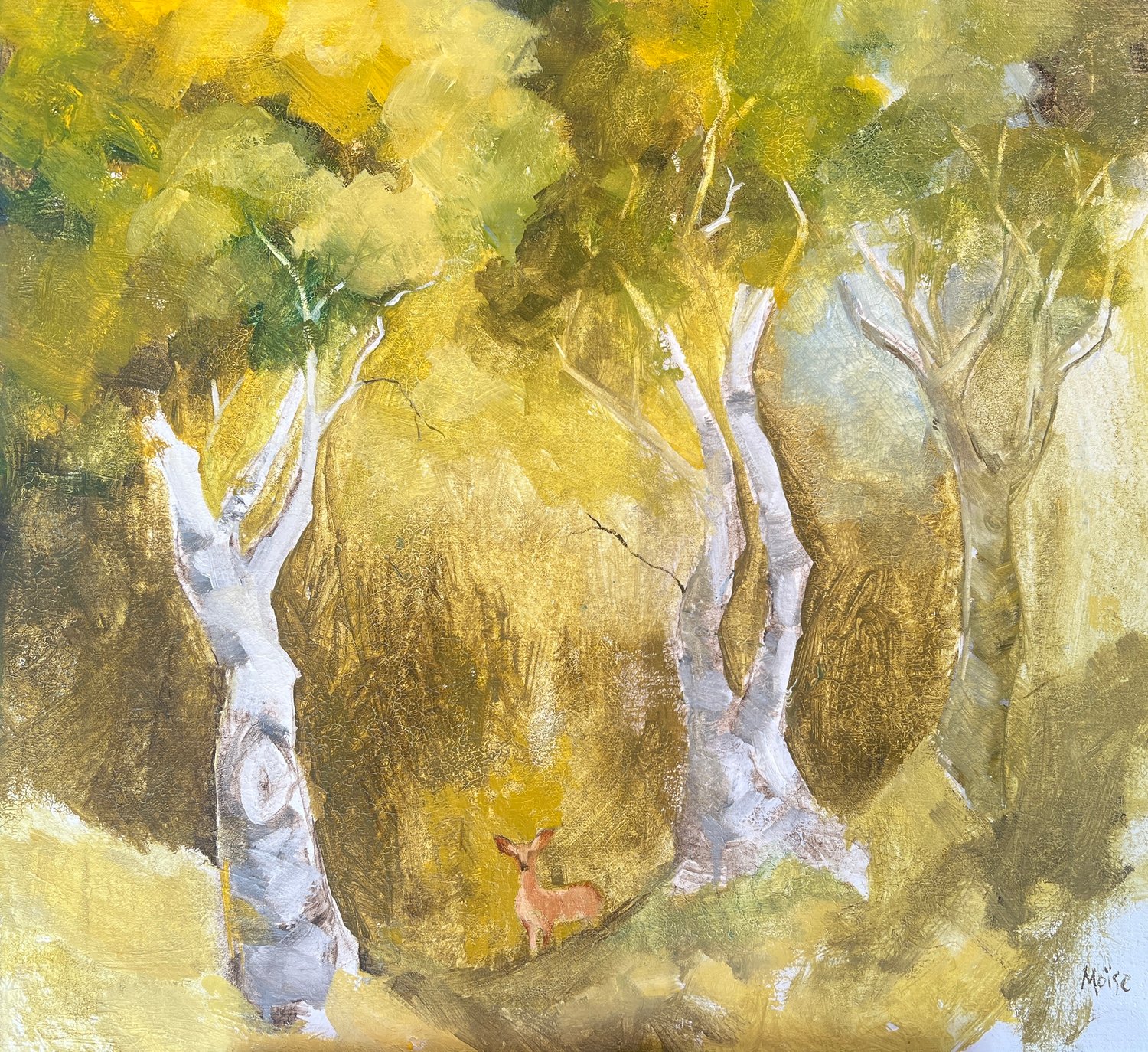 Image of The Wise Old Birch