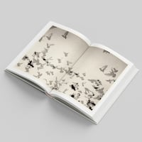 Image 5 of "PTOSIS" (tarif prévente)