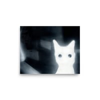 Cat on Ring Camera Print