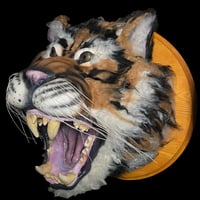 Image 3 of Life-Size Tiger Head Wall Mount • OOAK