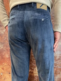 Image 2 of Pantalone Chino Pence Velluto Coste Avio