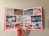 Image 4 of Loam - 100 Day Filet