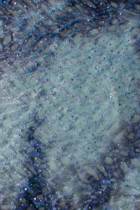 Image 1 of ♲ Siren - Custom Bikini Material - XS-XL 