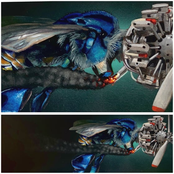 Image of  Black & Blue.   HOLIDAY SALE! Free Shipping.