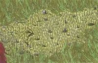 Bone Forest Poster Map