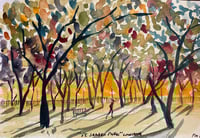 St James park London 