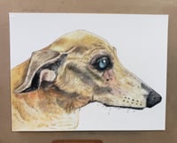 Image 1 of Pet Drawing (Color)