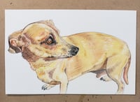 Image 2 of Pet Drawing (Color)