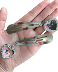 Image 2 of Frame Snap Clip