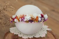 Newborn/Sitter Halo 4