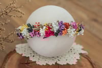 Newborn/Sitter Halo 8