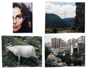 Image of some photographs taken during a trip to chile