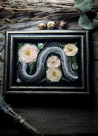 Image 2 of Snake Spine and Pink Rose Wall Frame