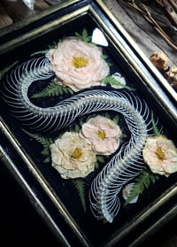 Image 4 of Snake Spine and Pink Rose Wall Frame