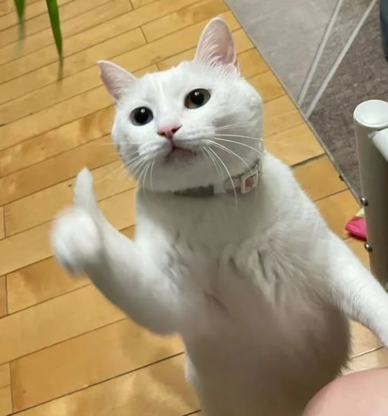 Image of LEV DAY 2026