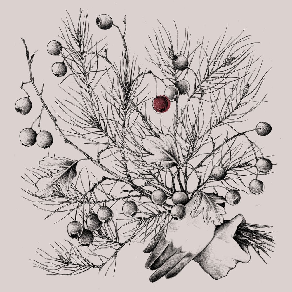 Image of Carte de vœux 2026 - Numérique