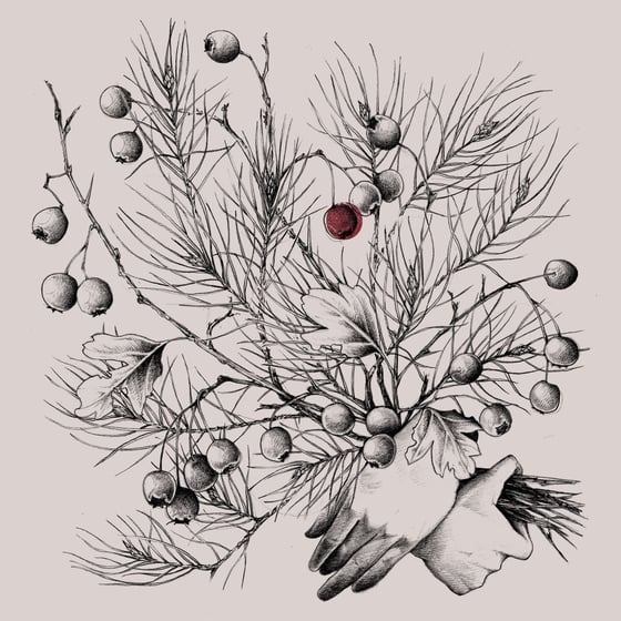 Image of Carte de vœux 2026 - Numérique