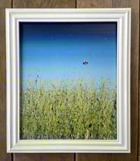 Image 2 of 'Come Fly With Me'