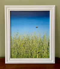 Image 3 of 'Come Fly With Me'