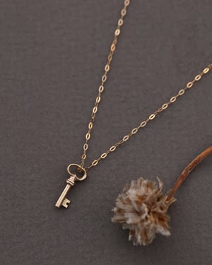 Image of *SAMPLE SALE - was £225.00* 9ct gold, Tiny key necklace